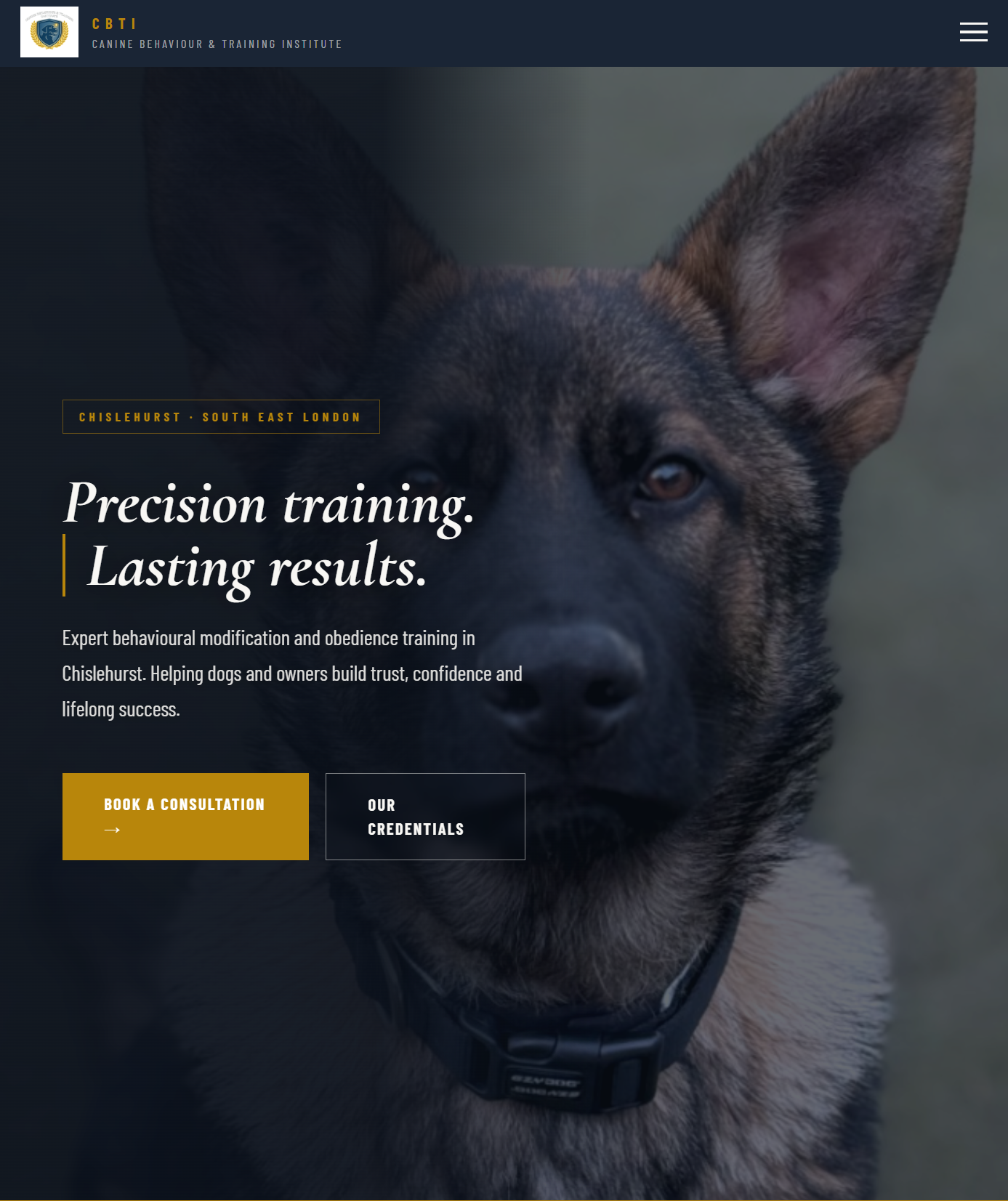 Canine Behaviour & Training Institute website hero — deep navy and gold palette